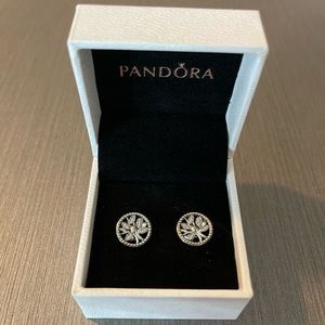 New Silver Pandora Earrings